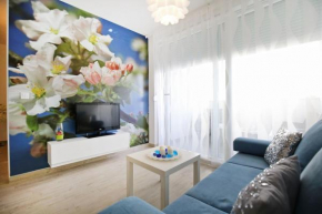 Гостиница Apartment Flowers  Задар